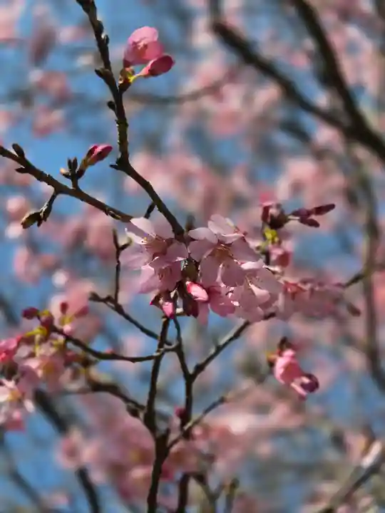 大船観音寺(神奈川県)