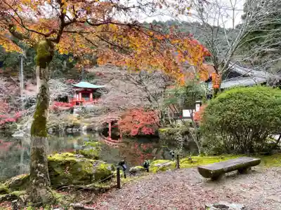 醍醐寺(京都府)