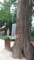 稲荷神社の自然