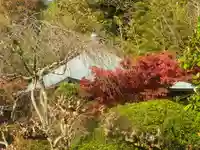 浄光明寺の自然