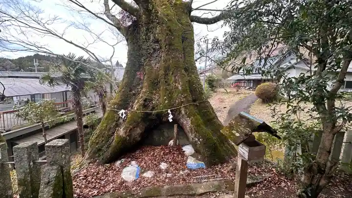 小夫天神社(奈良県)