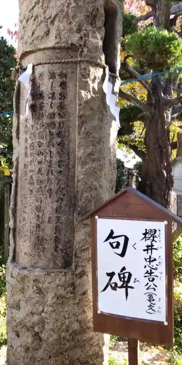 櫻井神社(兵庫県)