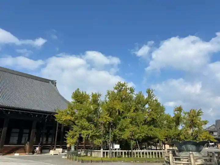本願寺(西本願寺)(京都府)