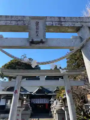 白蛇辨財天の鳥居