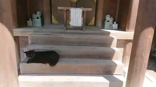 大鳥美波比神社（大鳥大社境内摂社）の動物