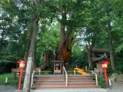 來宮神社(静岡県)