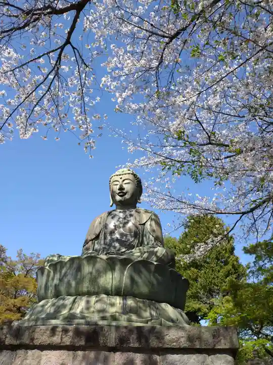 護国寺(東京都)