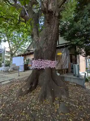上目黒氷川神社(東京都)