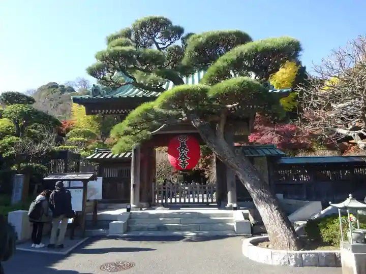 長谷寺の山門・神門