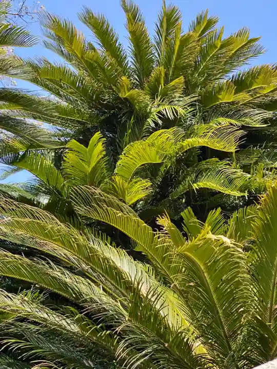 賀茂神社(兵庫県)