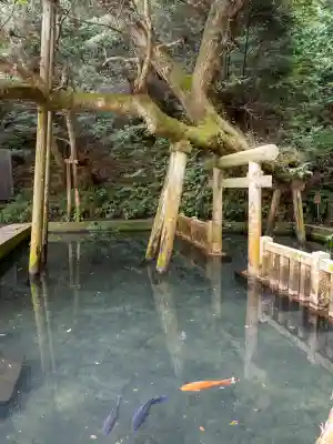 鹿島神宮(茨城県)