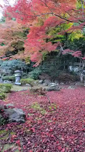 清滝寺徳源院(滋賀県)