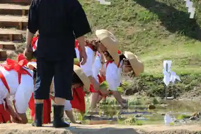 高屋敷稲荷神社のお祭り