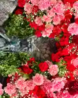 札幌諏訪神社の手水舎