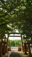 秋葉神社の鳥居