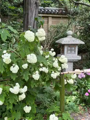 梅宮大社(京都府)