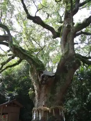 熱田神宮(愛知県)