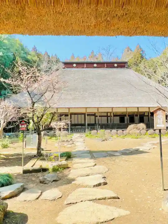 大雄寺の{uncategorized: "未分類", other: "その他", undefined: "問題あり", building: "その他建物", grave: "お墓", sacred_gate: "鳥居", guardian: "狛犬", statue: "像", buddha: "仏像", history: "歴史", nature: "自然", garden: "庭園", animal: "動物", pagoda: "塔", temizu: "手水舎", mountain_gate: "山門・神門", sanctuary: "本殿・本堂", subordinate: "末社・摂社", art: "芸術", scenery: "景色", jizo: "地蔵", ema: "絵馬", goshuin: "御朱印", omikuji: "おみくじ", items: "授与品その他", amulet: "お守り", goshuincho: "御朱印帳", eats: "食事", festival: "お祭り", votive_dance: "神楽", shichigosan: "七五三参", wedding: "結婚式", experience: "体験その他", initially: "初詣", around: "周辺", anti_infection: "感染症対策"}