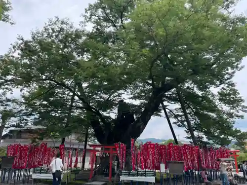 秩父今宮神社(埼玉県)