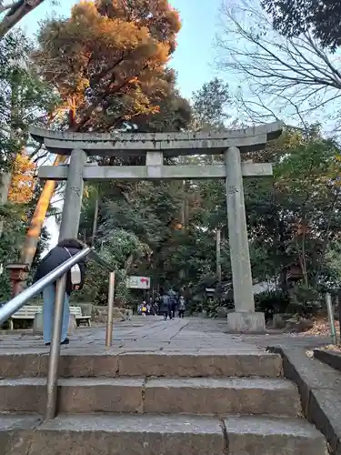 代々木八幡宮の鳥居