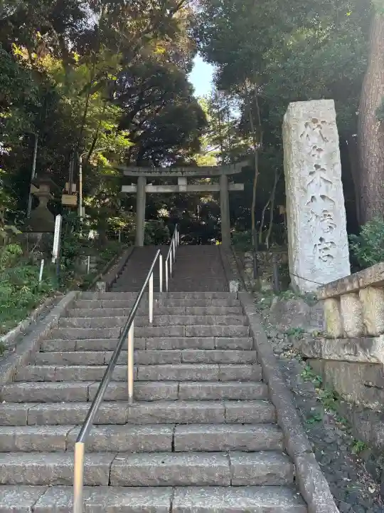 代々木八幡宮の{uncategorized: "未分類", other: "その他", undefined: "問題あり", building: "その他建物", grave: "お墓", sacred_gate: "鳥居", guardian: "狛犬", statue: "像", buddha: "仏像", history: "歴史", nature: "自然", garden: "庭園", animal: "動物", pagoda: "塔", temizu: "手水舎", mountain_gate: "山門・神門", sanctuary: "本殿・本堂", subordinate: "末社・摂社", art: "芸術", scenery: "景色", jizo: "地蔵", ema: "絵馬", goshuin: "御朱印", omikuji: "おみくじ", items: "授与品その他", amulet: "お守り", goshuincho: "御朱印帳", eats: "食事", festival: "お祭り", votive_dance: "神楽", shichigosan: "七五三参", wedding: "結婚式", experience: "体験その他", initially: "初詣", around: "周辺", anti_infection: "感染症対策"}