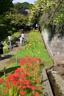 横浜　西方寺(神奈川県)