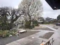 福永寺の庭園