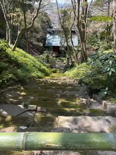 妙法寺の{uncategorized: "未分類", other: "その他", undefined: "問題あり", building: "その他建物", grave: "お墓", sacred_gate: "鳥居", guardian: "狛犬", statue: "像", buddha: "仏像", history: "歴史", nature: "自然", garden: "庭園", animal: "動物", pagoda: "塔", temizu: "手水舎", mountain_gate: "山門・神門", sanctuary: "本殿・本堂", subordinate: "末社・摂社", art: "芸術", scenery: "景色", jizo: "地蔵", ema: "絵馬", goshuin: "御朱印", omikuji: "おみくじ", items: "授与品その他", amulet: "お守り", goshuincho: "御朱印帳", eats: "食事", festival: "お祭り", votive_dance: "神楽", shichigosan: "七五三参", wedding: "結婚式", experience: "体験その他", initially: "初詣", around: "周辺", anti_infection: "感染症対策"}