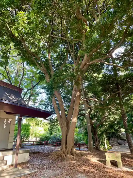 春日神社(千葉県)