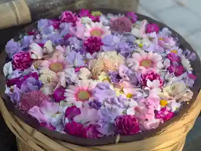 野見神社の手水舎