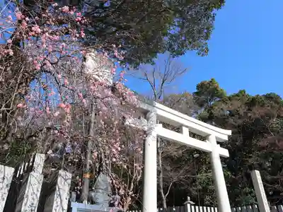 保久良神社の鳥居