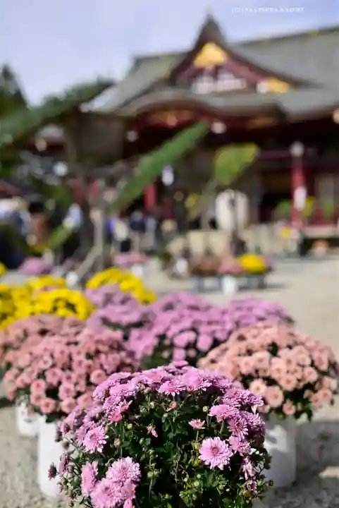 笠間稲荷神社(茨城県)