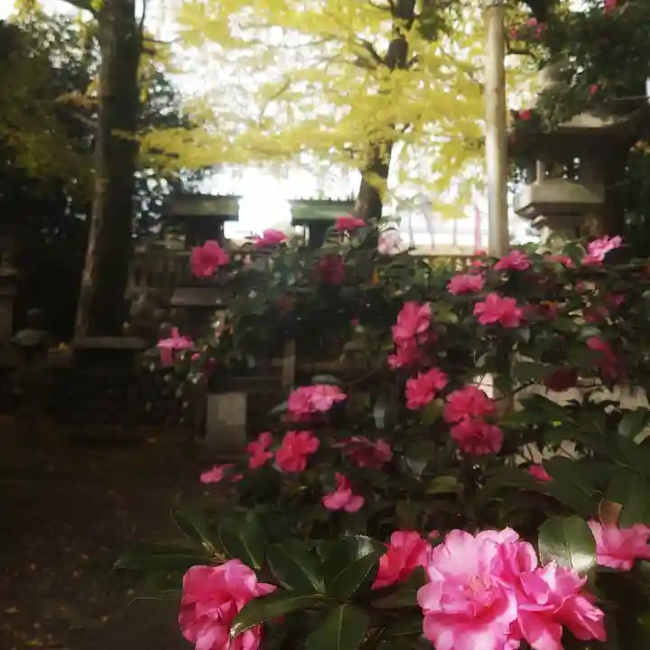 若宮神明社の自然