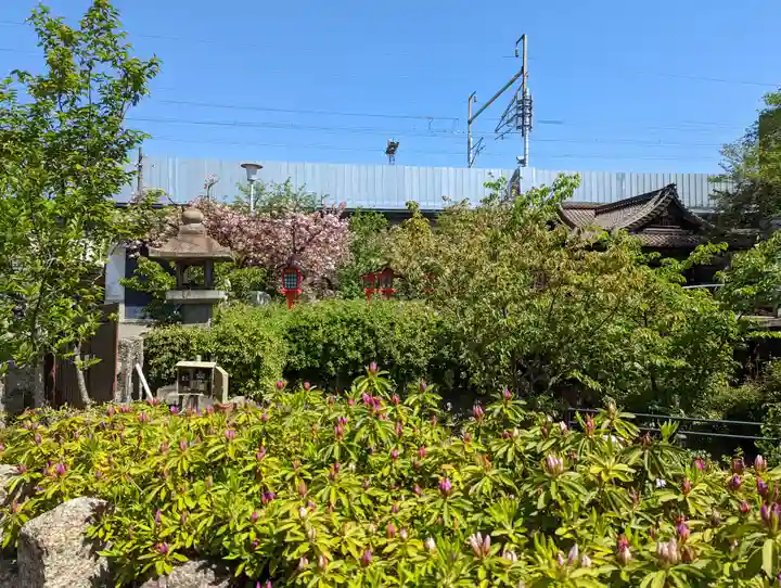 六孫王神社(京都府)