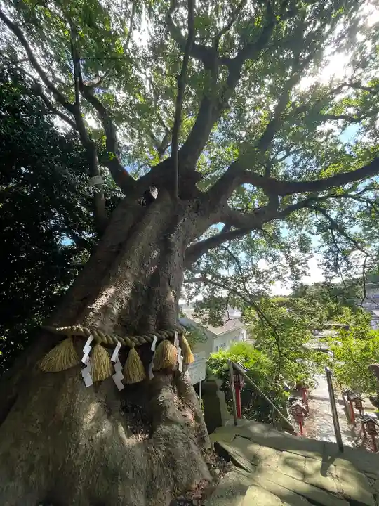 常陸第三宮 吉田神社(茨城県)