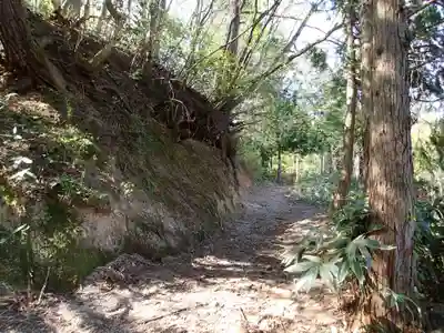 磐船神社の自然