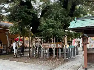 伊奴神社(愛知県)