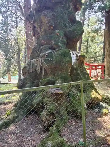 丸嶽山神社(栃木県)