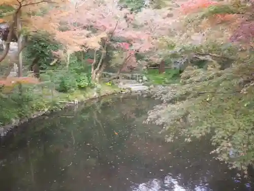 鶴岡八幡宮の庭園