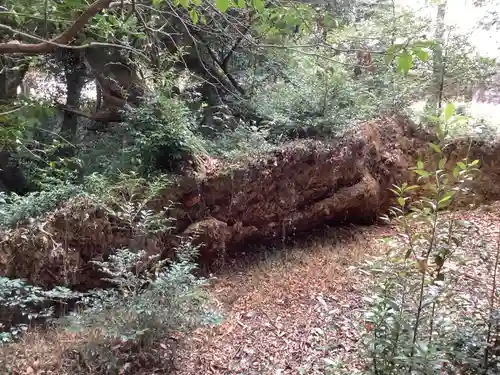 天道宮神明社（前原）(愛知県)