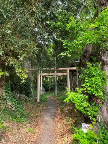 石楯尾神社の鳥居