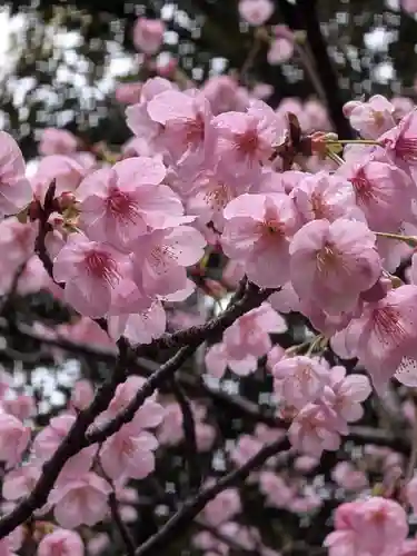 妙法寺(東京都)