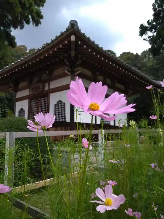 安倍文殊院 (奈良県)