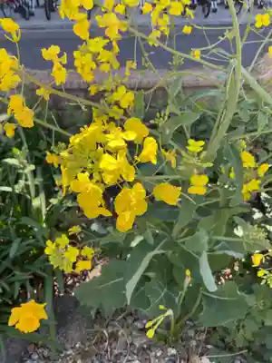 三輪神社(愛知県)