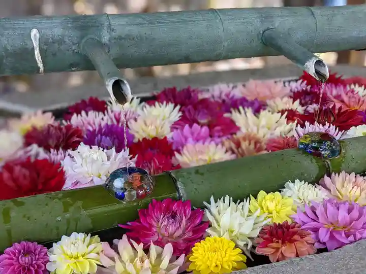 岡寺(龍蓋寺)の手水舎
