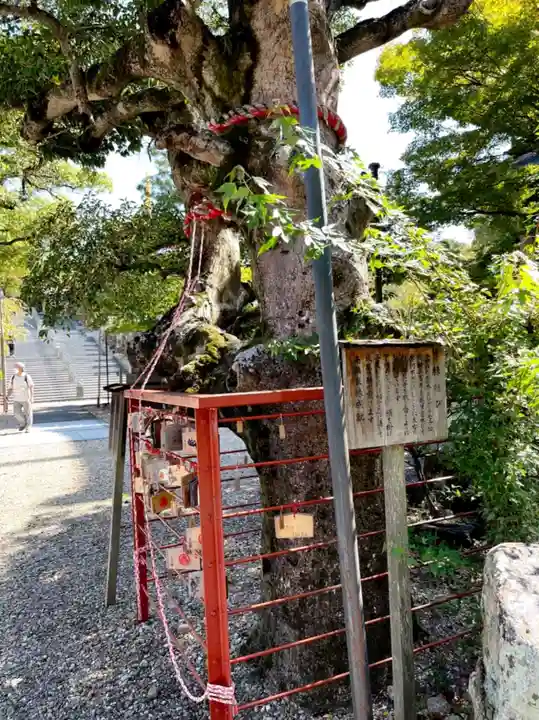 八事山 興正寺の自然