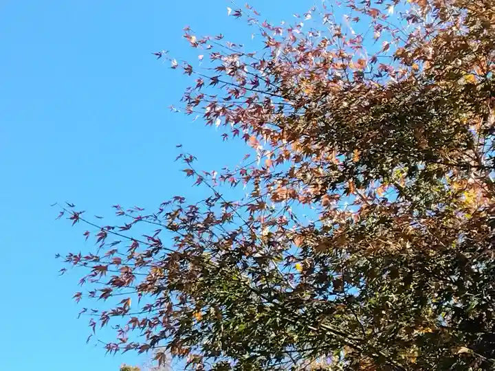 長壽寺(長寿寺)(神奈川県)