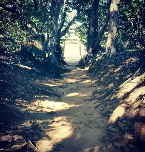 塩釜神社の自然