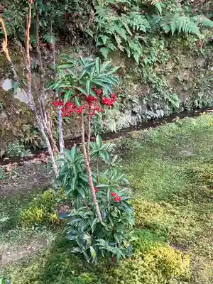 法然院(京都府)