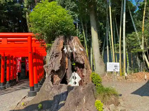 常磐神社の自然